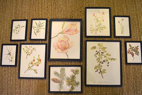 botanical-print-collection