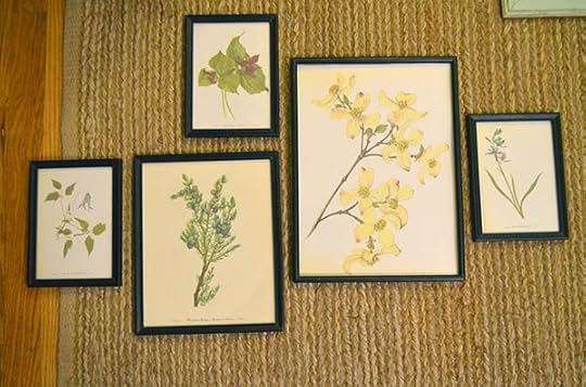 botanical-print-collection2