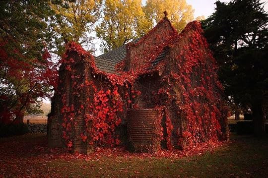 152cf9df7dd45ec9c72a6424afa870d5