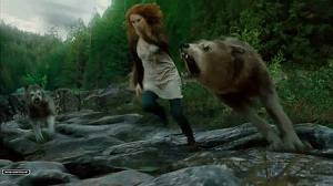  photo wolf_zps7fdfb8a5.jpg