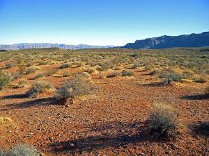 nevada-desert-frank-wilson
