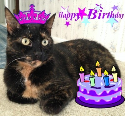 birthday_cat