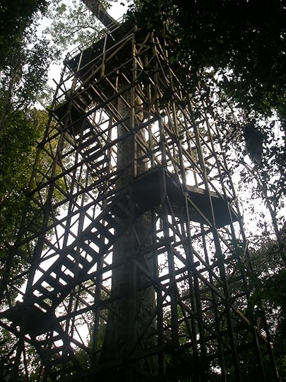 Observation tower in the jungle