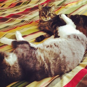 I've been forced to snuggle with my homicidal brother. 