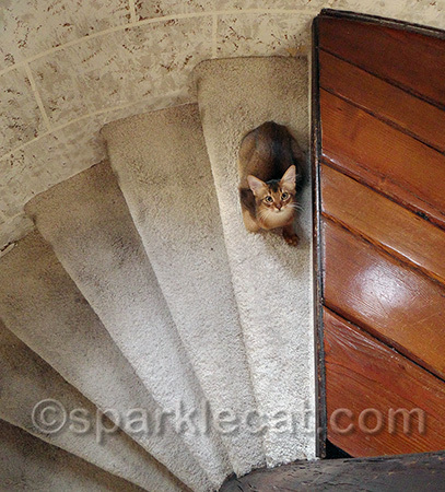 This staircase is awesome!