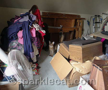Is this the attic where crazy people have to live?