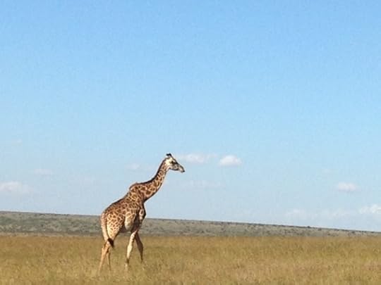 2014-08-22-giraffemasai.jpg