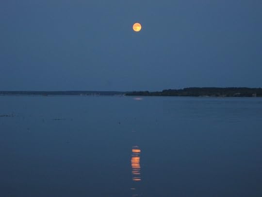Super Moon (17)