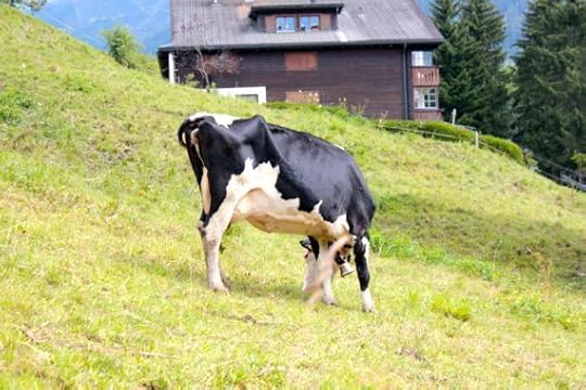 interestingswiss07