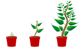 growing-trees-hi