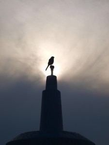 morning-393623_640