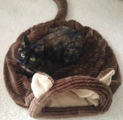 Neko_Napper_sleeping_bag