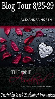 The one awakened blog tour button