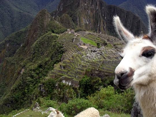 photo, image, machu picchu, peru