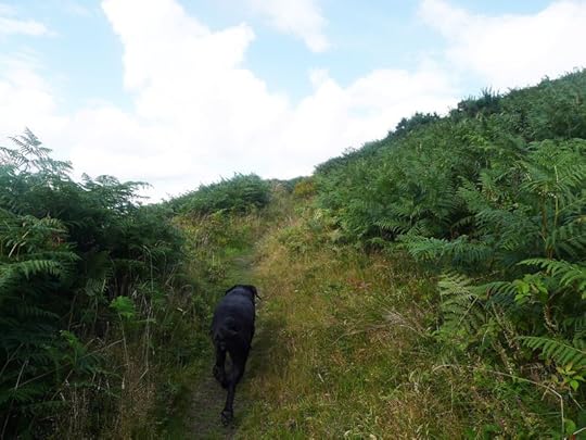 Nattadon Hill