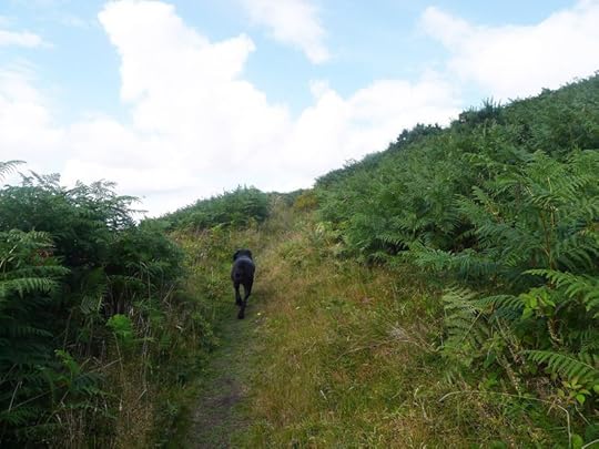 Nattadon Hill