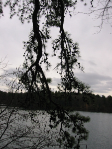 Walden Pond, because literature.