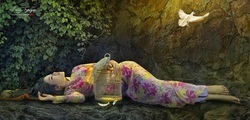 Picture