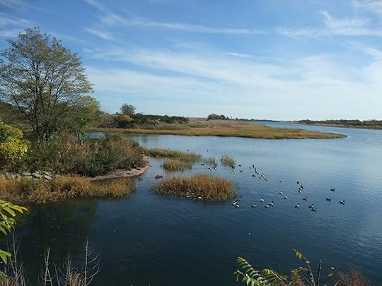 Marine-Park-Salt-Marsh004