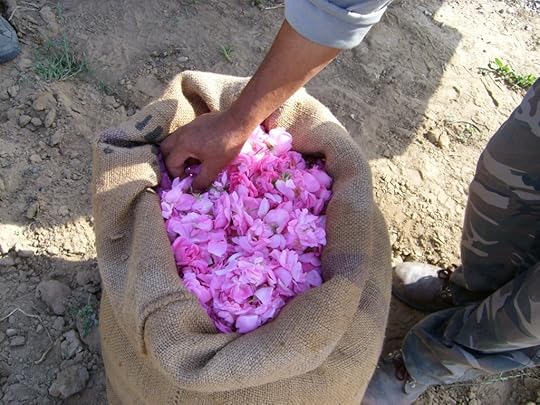 sack of roses