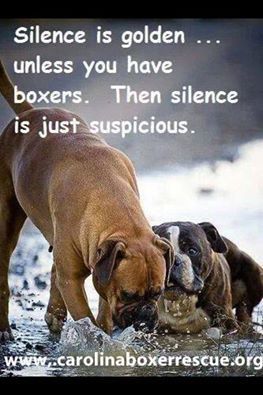  photo silenceisgolden_zps9544a656.jpg