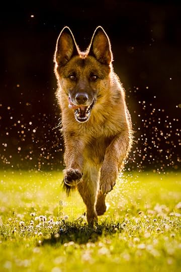  photo tumblr_narffglcjC1sdmbk5o1_500_zps74e6b7a7.jpg