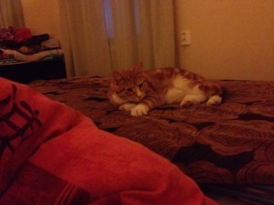 ...and I got to sleep with this guy...