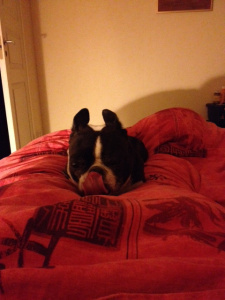 ...this lovely lady...