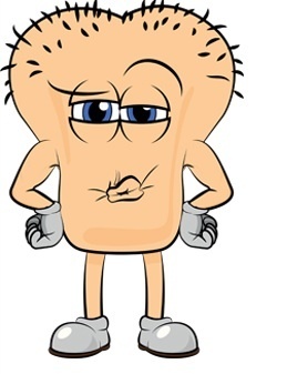 scrotum.jpg