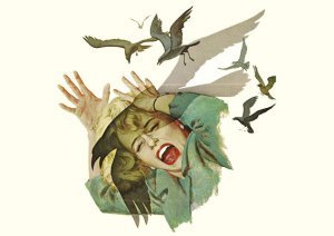 the birds