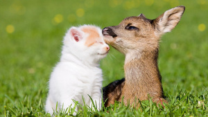 picture-of-friendship-love