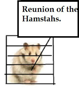 zxj888899991xxxjjjppnnccccc