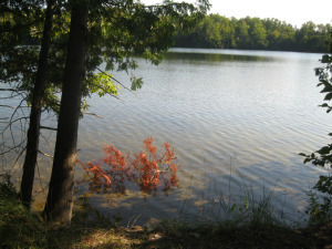 Camp Black Hawk 122