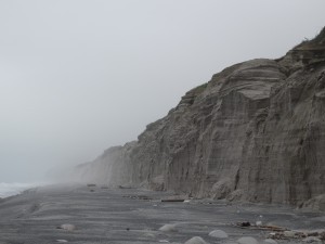 DSC02396