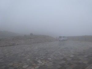 DSC02591