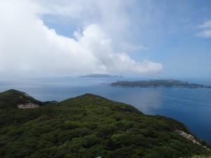 DSC02631