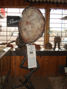 Arizona 2014 093