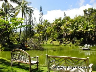 Lagoon at Na Aina Kai Botanical Gardens in Kilauea, Kauai, Hawaii