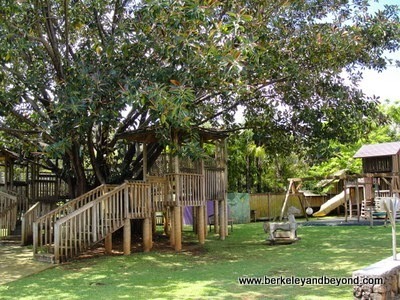 treehouse at Na Aina Kai Botanical Gardens in Kilauea, Kauai, Hawaii