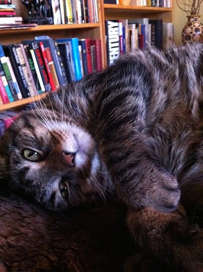 Jesse Sublett's Little Black Book