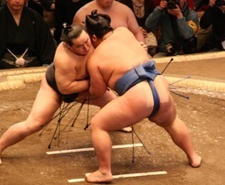 Picture
