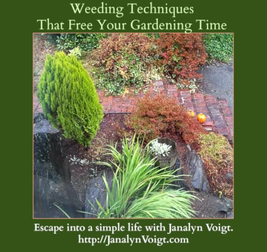 Weeding Techniques The Free Your Gardening Time | Janalyn Voigt
