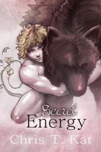 SecretEnergy