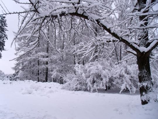 Hiver paysage