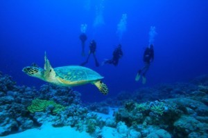 7117_708396211287_13609822_41749872_709257_n