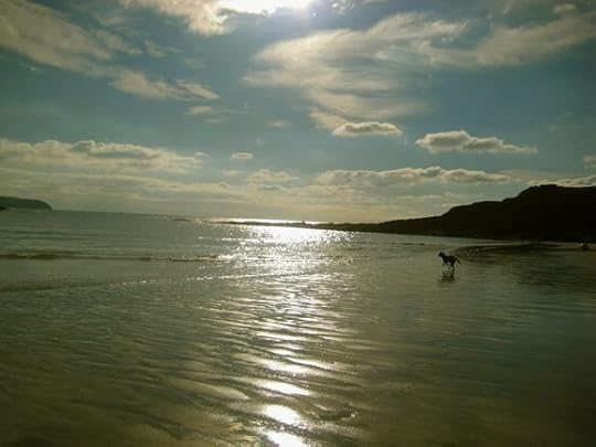 Tilly on the south Devon coast