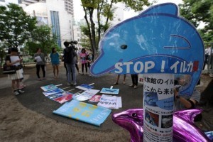 afp-dolphin-hunting-season-kicks-off-in-japan