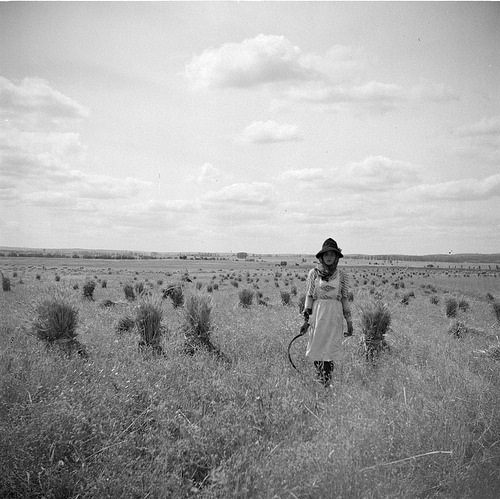 Artur Pastor - Ceifeira