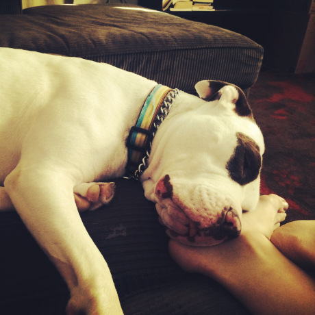 My role model, Via, who maintains a perpetual state of Christmas.