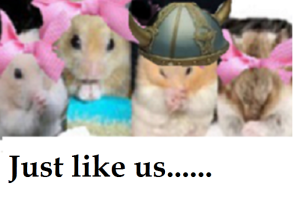 zhamjgjuuuuuu0000----